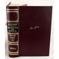 Anatomy Descriptive and Surgical